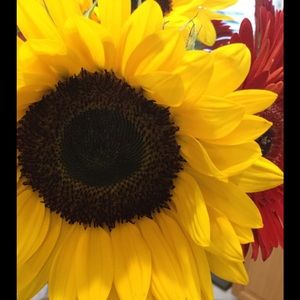 Meet your Posher, Penny